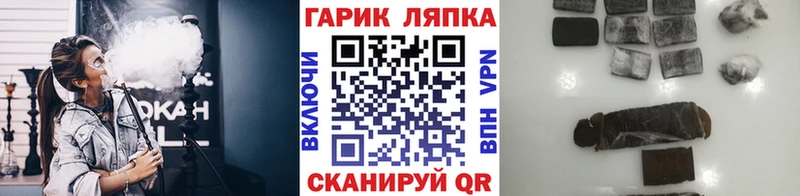 Купить  Советск  ГАШ Изолятор 