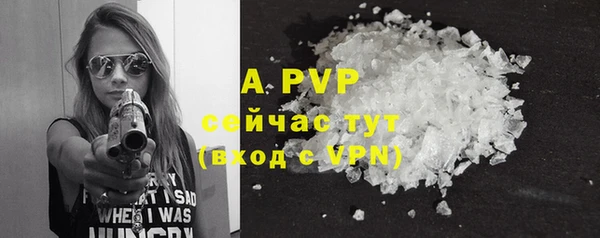 спиды Лагань