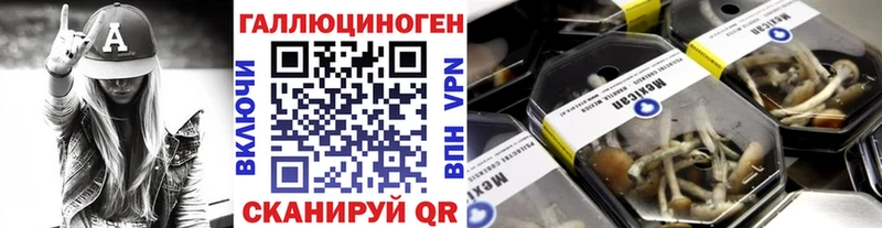 Галлюциногенные грибы мухоморы  Купить закладки  Советск 